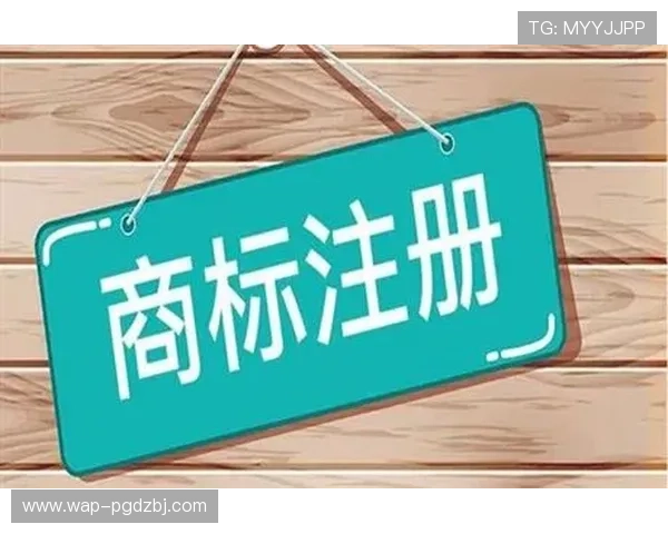 ag登录网会员注册流程详解帮助新用户快速完成注册