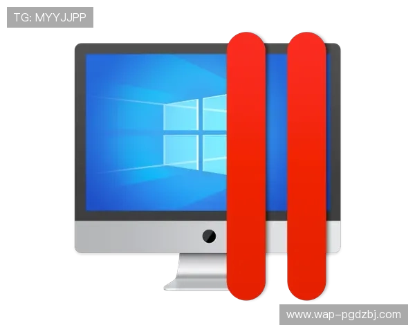 pgsoftsiot.com：利用pgsoftsiot.com实现物联网设备的智能监控与远程维护