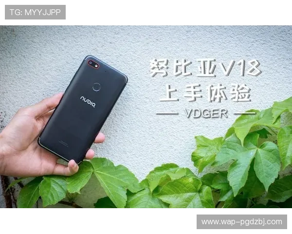 PG电子模拟器官网下载教程,详细操作步骤帮助新手快速上手体验