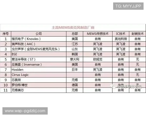 篮球PG全称的英文全称及其在国际篮球中的标准称呼解析